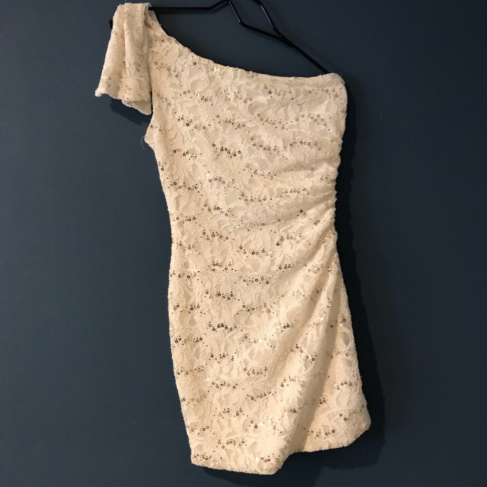 Sequin Lace Dress